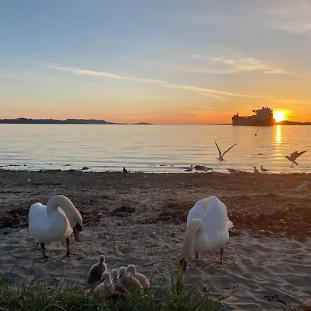 Best View Beach Front Apartment Daire *