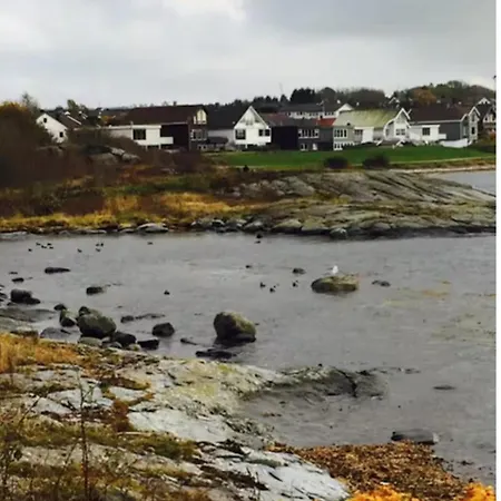 Best View Beach Front Apartment